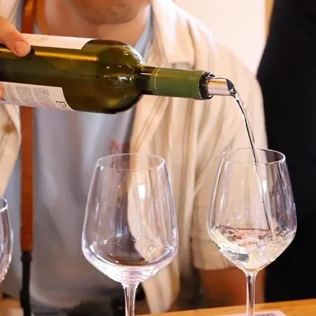 Nurellari Winery Cellar And Berat