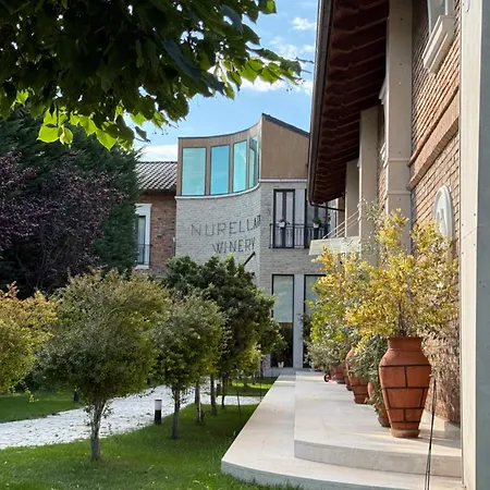 Nurellari Winery Cellar And *